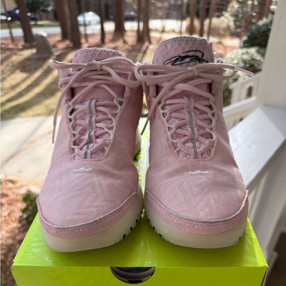 Nike LeBron NXXT Genisus Pink Basketball/Volleyball Shoe
